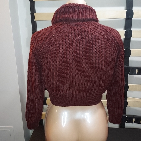 Woven Hearta Cropped Turtleneck Knit Sweater - Picture 5 of 6